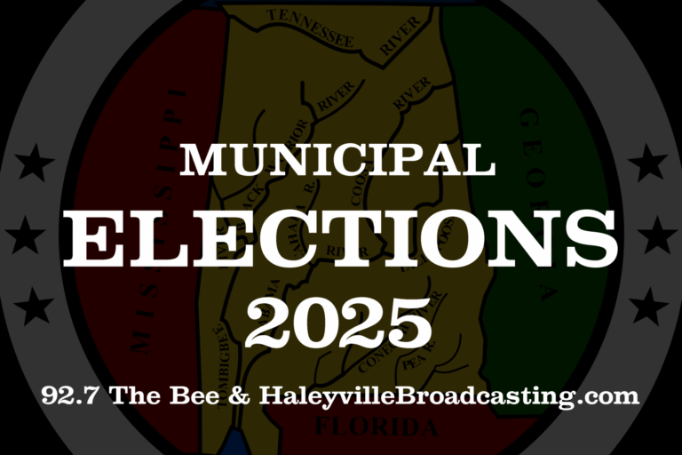 Municipal Elections